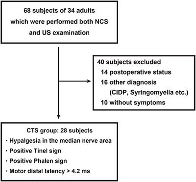 Diagnostic Utility of Superb Microvascular Imaging and Power Doppler Ultrasonography for Visualizing Enriched Microvascular Flow in Patients With Carpal Tunnel Syndrome